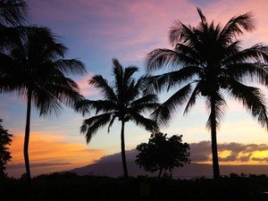日常の中の音や風でふと、一瞬遠い異国の地にいるような感覚になる