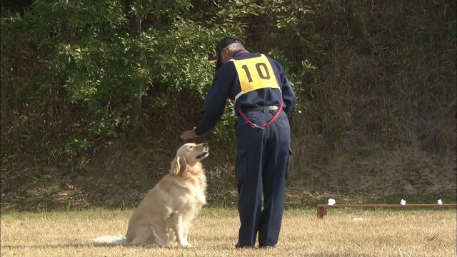 訓練の成果を出せるか！？　嘱託警察犬の競技会に28頭が参加　香川県警