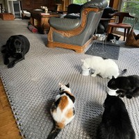 みんなでごはん、幸せなひととき