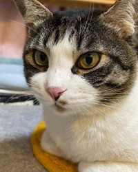 病気の発覚は左右で瞳の色が違うことに気づいたのがきっかけでした（提供画像）