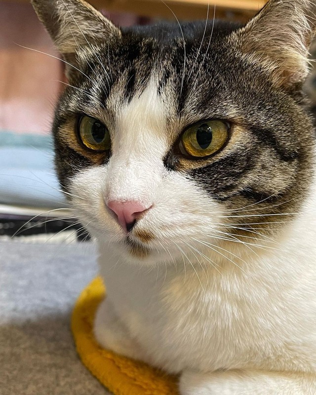 病気の発覚は左右で瞳の色が違うことに気づいたのがきっかけでした（提供画像）