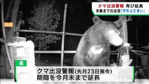 宮城県がクマ出没警報を１２月末まで再び延長　冬眠しない可能性も