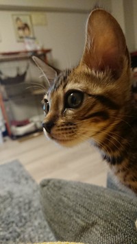 横顔の美しさに惚れ惚れしたことも