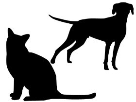 犬猫引き取り業者を略式起訴　登録せず、予防接種も受けさせず