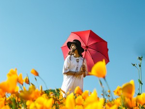 ガパオライスが食べたい。衝動にかられた晴れ女は雨の中スキップする