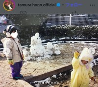田村保乃のインスタグラム＠tamura.hono.officialより