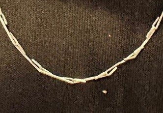 息子さんが学校から持ち帰ったネックレス……アップで見てみるとやはりホチキスの針（提供：島田拓さん）