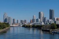 写真：whitemt / Shutterstock