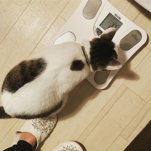 体重増えたのばれちゃった？と、ダイエット中のヨルくん