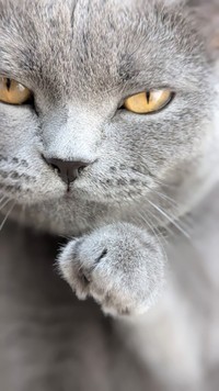 良くやった、グータッチだ（提供：たぬをさん）