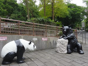 台湾のパンダはなぜ中国に返還されない？　微妙な政治的関係を反映か