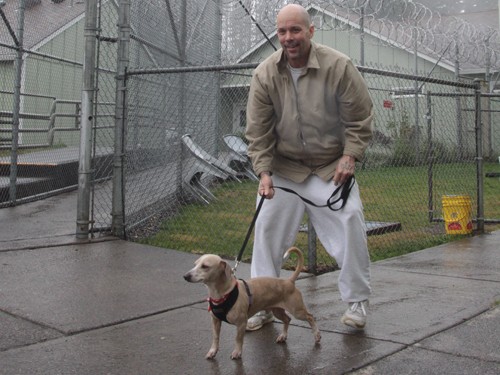 米国の動物介在プログラム（前編）　犬猫にも受刑者にもメリット