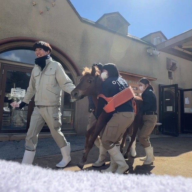 3月5日、自力で歩くことができなくても外に出たがるカッピーをみんなで担いで外へ（神戸市立王子動物園提供）