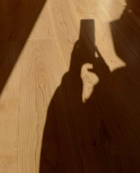近年、スマートフォンの普及により、事故や急病の現場で撮影をする人が増えている（photoACより「ゴジちく」さん撮影、イメージ画像）