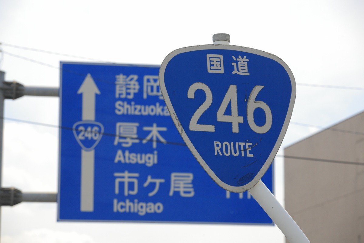 日本の国道、59から100の間が欠番になっているのはなぜ？ 「65号の標識