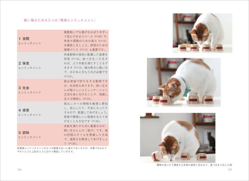 飼い猫のための５つの「環境エンリッチメント」（第３章より）