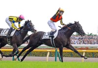 横綱相撲で押し切ったクロワデュノール(2025年、日本ダービー)