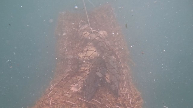 提供：海洋建設株式会社
