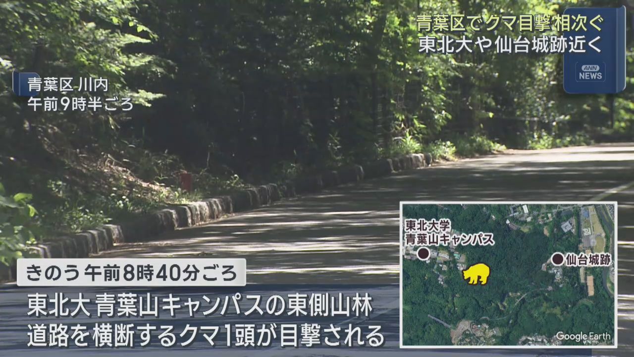 東北大学青葉山キャンパスや仙台城跡近くでクマ目撃