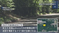 東北大学青葉山キャンパスや仙台城跡近くでクマ目撃