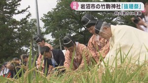 秋の実りに感謝する抜穂祭　宮城・竹駒神社