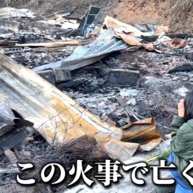 住宅と犬舎が全焼し、プードルやハスキーなど約100匹の犬が命を落とす火災現場を訪れたBellのメンバー（Bellさん提供、Instagramよりキャプチャ撮影）