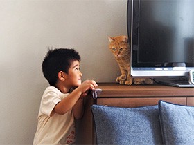 怒りんぼな茶トラ猫　仲良くしたい男の子は恐る恐るナデナデ