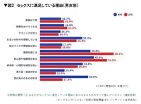 セックスに満足している理由（提供画像）