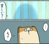 カーテンの奥から聞こえる声（ゆうさん提供）
