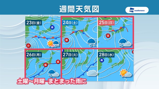 提供：ウェザーニューズ