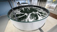 実証実験の飼育水槽