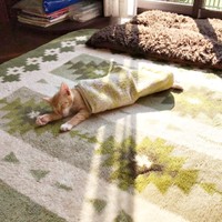 お迎えから2年、すやすやと眠るちいちゃん（画像提供：ちーちゃん-Mari-うるちゃんさん／Instagram）