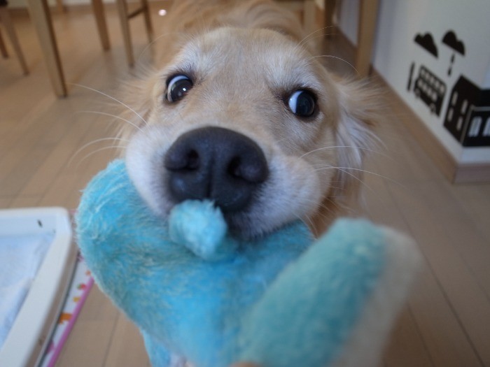 とにかく表情が豊かです