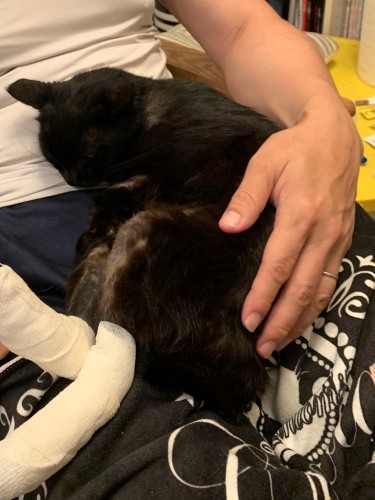 自宅に戻ってお父さんの腕に抱っこされるようになったムラ子さん。「最初は男性をひどく怖がってたんです。もしかすると、いじめられた経験があるのかも」