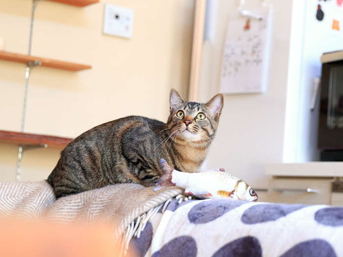 下に降りてきた棗の視線の先には……（テクニック3）