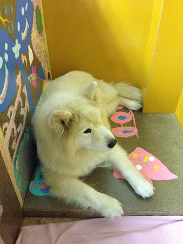 シェルターでは何を思っていたのかな