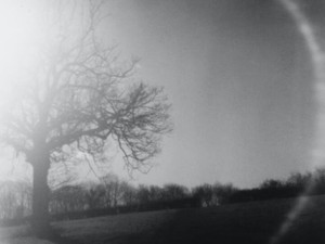 「あと1年持ってくれれば」大叔父に見せたかった卒業証書