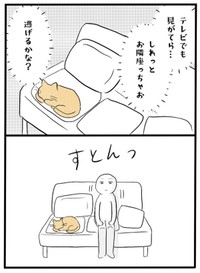 【漫画】『ネコと暮らした9日間』37（イゴカオリさん提供）