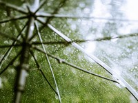 大雨が止んだ後の晴れた綺麗な朝に生まれた私は、何よりも雨が好き