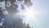 7月28日熱中症警戒アラート発表　岡山