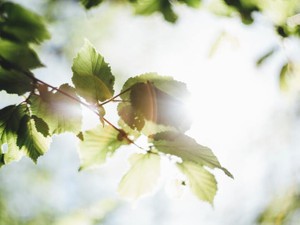 猫背と自分を愛すること～母になり幼少期を振り返る～