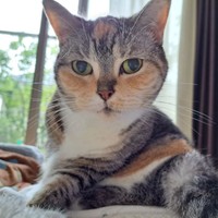 あどけなさが残る愛夢ちゃん