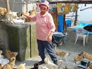島民１５人に猫１５０匹！　猫と共に生きる島の住民団体代表