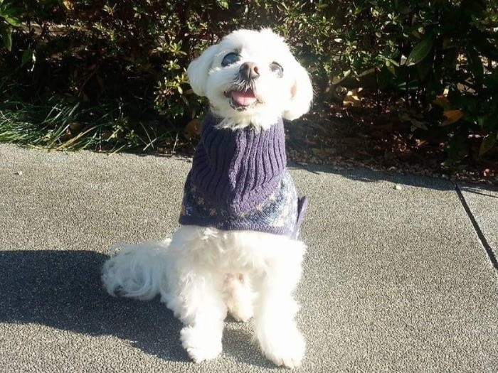 そうだよずーっとね　（提供写真）