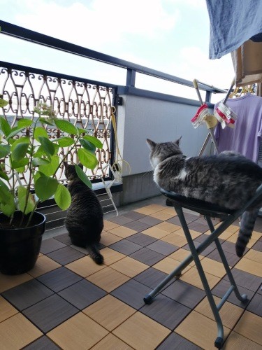 前から一緒にいるみたいに自然だけどね……（信之さん提供）