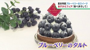 特産のブルーベリーを使ったスイーツがずらり　２８日から宮城・富谷市でフェア