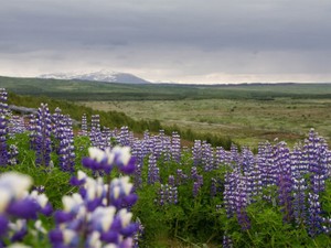 知らない方が幸せだったことを、知ってしまったうえで