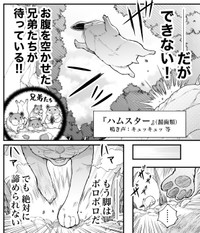 お互いに引けないハムスターと猫との戦い　(C)梵辛/双葉社