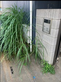 管理会社から送られてきた写真（海好き大家さん提供）