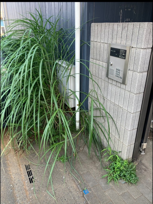管理会社から送られてきた写真（海好き大家さん提供）